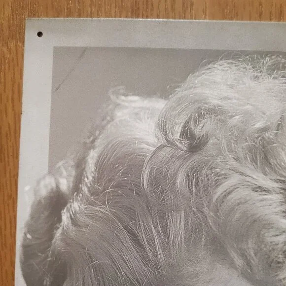 Lucille Ball tin sign - Picture 4 of 7